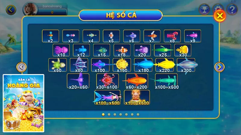 Cược thủ Bắn cá hoàng gia nên chơi theo nhóm để hỗ trợ nhau Cược thủ Bắn cá hoàng gia nên chơi theo nhóm để hỗ trợ nhau