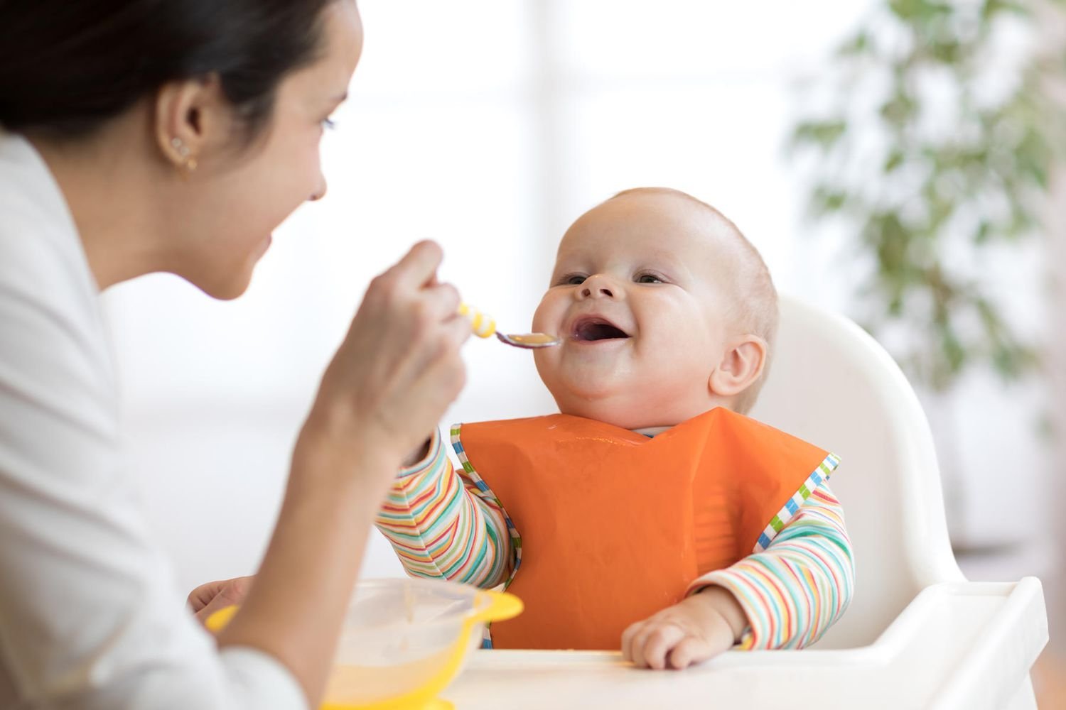 Baby food essentials