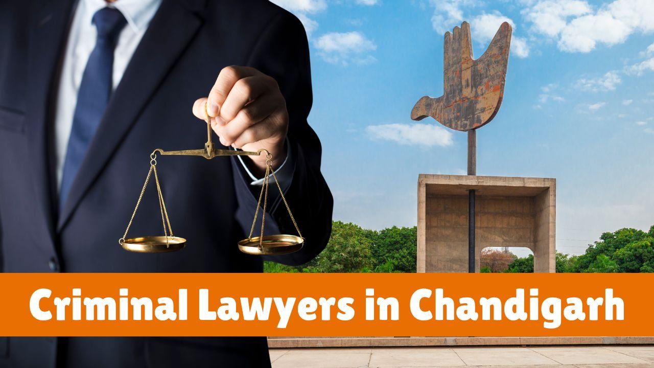 Top 5 Criminal Lawyers in Chandigarh: Navigating the Legal Labyrinth